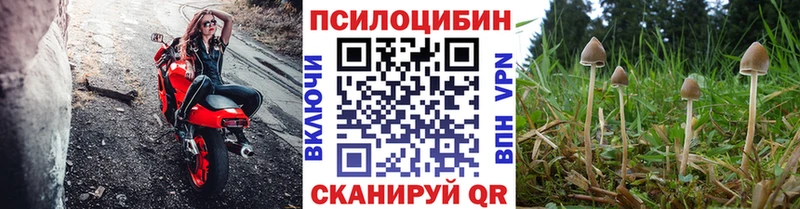гидра вход  Арск  Псилоцибиновые грибы мицелий 